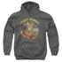 STAR TREK/THE PURR - YOUTH PULLOVER HOODIE - CHARCOAL
