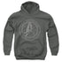 STAR TREK DISCOVERY/ENTERPRISE CREST - YOUTH PULLOVER HOODIE - CHARCOAL