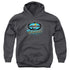 SURVIVOR/OFF MY ISLAND - YOUTH PULLOVER HOODIE - CHARCOAL
