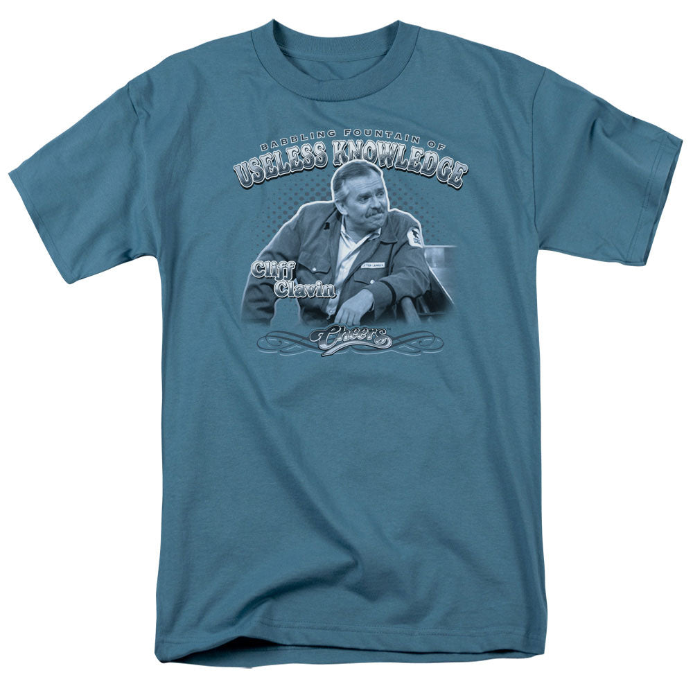 CHEERS/FOUNTAIN OF KNOWLEDGE - S/S ADULT 18/1 - SLATE