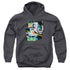 CSI/EVIDENCE COLLAGE - YOUTH PULLOVER HOODIE - CHARCOAL