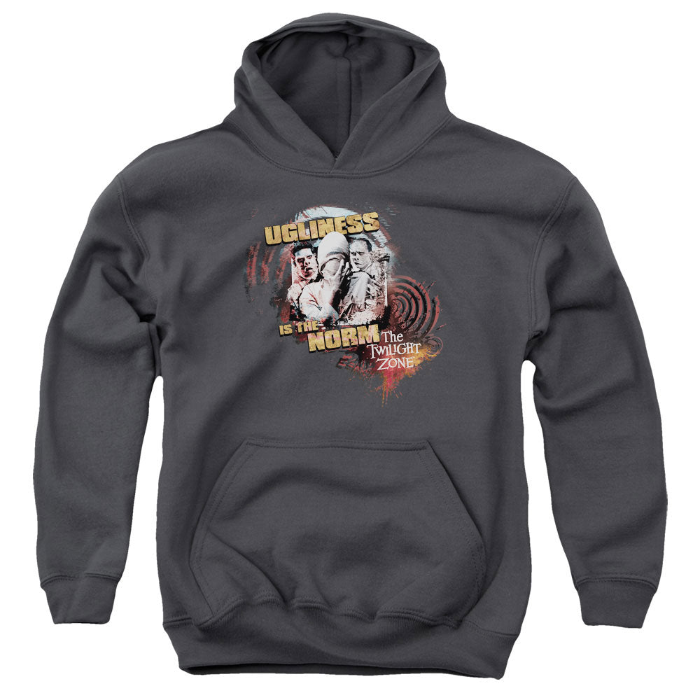 TWILIGHT ZONE/THE NORM - YOUTH PULLOVER HOODIE - CHARCOAL