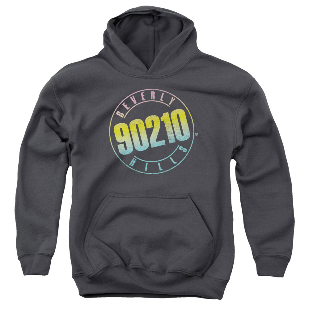 90210/COLOR BLEND LOGO - YOUTH PULLOVER HOODIE - CHARCOAL