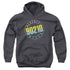 90210/COLOR BLEND LOGO - YOUTH PULLOVER HOODIE - CHARCOAL