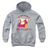 STAR TREK/FIGHTING PHOENIX - YOUTH PULLOVER HOODIE - ATHLETIC HEATHER