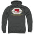 STAR TREK/COCHRANE LIBRARY - ADULT PULLOVER HOODIE - CHARCOAL
