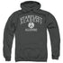 STAR TREK/ALUMNI - ADULT PULLOVER HOODIE - CHARCOAL