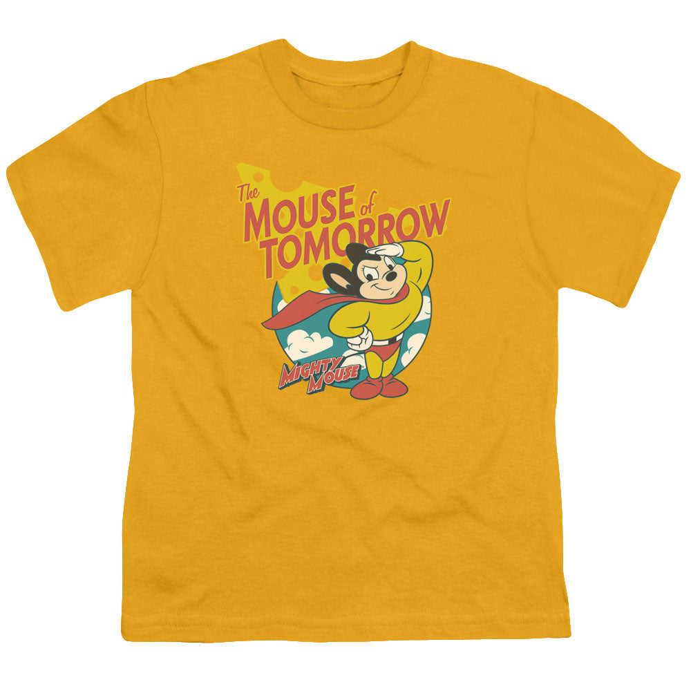 MIGHTY MOUSE/MOUSE OF TOMORROW - S/S YOUTH 18/1 - GOLD
