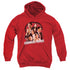 CRIMINAL MINDS/BRAIN TRUST - YOUTH PULLOVER HOODIE - RED