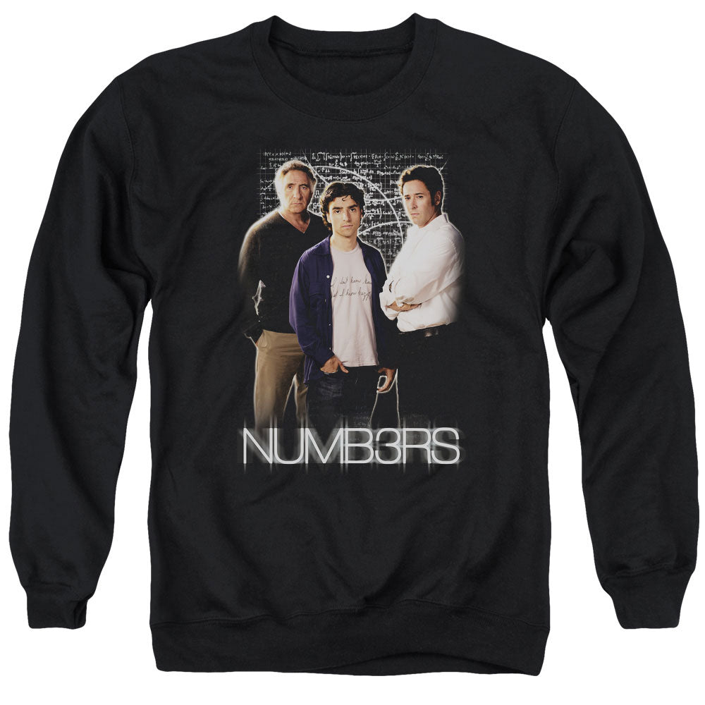 NUMBERS/EQUATIONS - ADULT CREWNECK SWEATSHIRT - BLACK