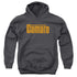 CHEVROLET/COMMAND PERFORMANCE - YOUTH PULLOVER HOODIE - CHARCOAL