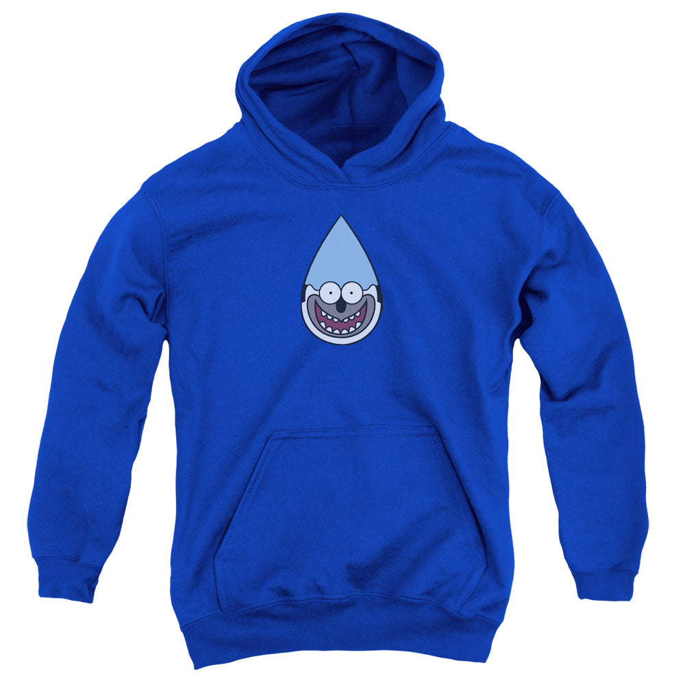 REGULAR SHOW/MORDECAI - YOUTH PULLOVER HOODIE - ROYAL BLUE