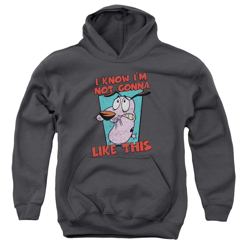 COURAGE THE COWARDLY DOG/NOT GONNA LIKE - YOUTH PULLOVER HOODIE - CHARCOAL