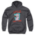 COURAGE THE COWARDLY DOG/NOT GONNA LIKE - YOUTH PULLOVER HOODIE - CHARCOAL