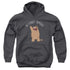 WE BARE BEARS/INTERNET FAMOUS - YOUTH PULLOVER HOODIE - CHARCOAL