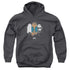 WE BARE BEARS/JACKET - YOUTH PULLOVER HOODIE - CHARCOAL