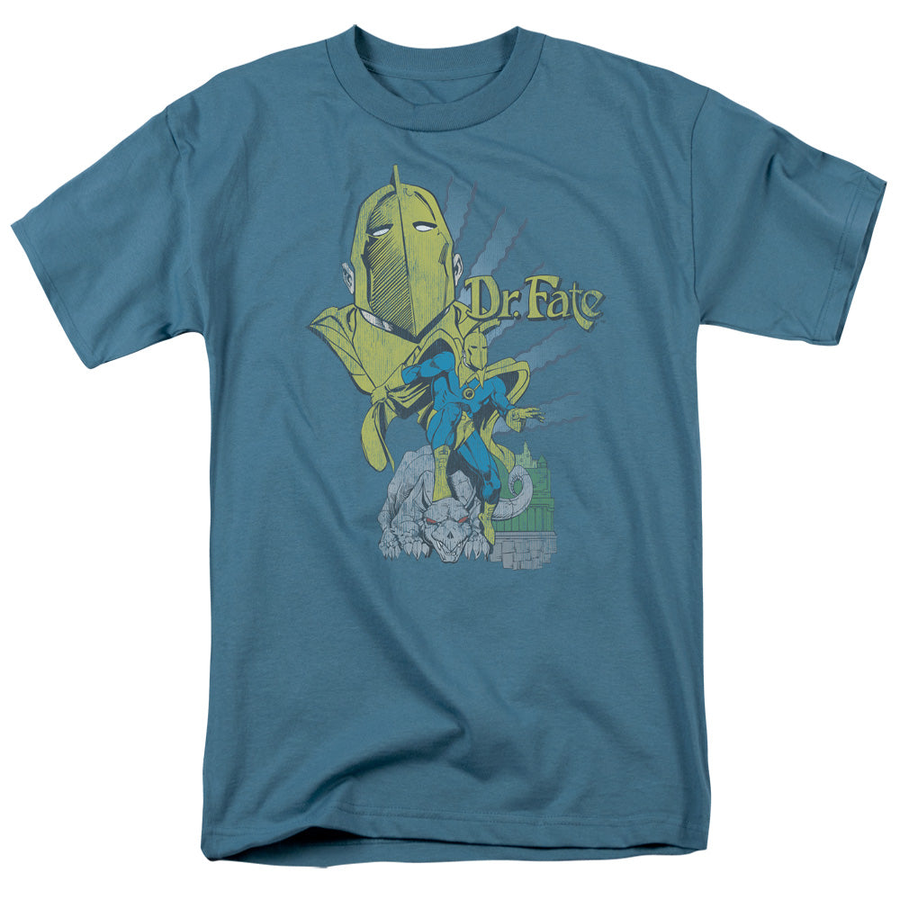 DC/DR FATE - S/S ADULT 18/1 - SLATE