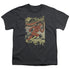 DC FLASH/JUST PASSING THROUGH - S/S YOUTH 18/1 - CHARCOAL