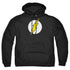 DC FLASH/FLASH LOGO - ADULT PULLOVER HOODIE - BLACK