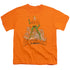 DC/AQUAMAN DISTRESSED - S/S YOUTH 18/1 - ORANGE