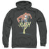 DC FLASH/DESATURATED FLASH - ADULT PULLOVER HOODIE - CHARCOAL