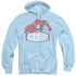 DC FLASH/FLASH SIGN - ADULT PULLOVER HOODIE - LIGHT BLUE