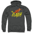 DC FLASH/8 BIT FLASH - ADULT PULLOVER HOODIE - BLACK