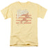 DC FLASH/SCARLET SPEEDSTER - S/S ADULT 18/1 - BANANA