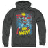 DC/NO WAY - ADULT PULLOVER HOODIE - CHARCOAL