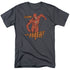 DC FLASH/WHIRLWIND - S/S ADULT 18/1  -  CHARCOAL