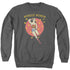 DC/WONDER CIRCLE - ADULT CREWNECK SWEATSHIRT - CHARCOAL