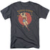 DC/WONDER CIRCLE - S/S ADULT 18/1  -  CHARCOAL