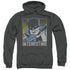 DC/INTERESTING - ADULT PULLOVER HOODIE - CHARCOAL