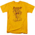 DC FLASH/BUSTING OUT - S/S ADULT 18/1 - GOLD