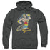 DC/SPINNING - ADULT PULLOVER HOODIE - CHARCOAL