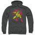 DCO/CREEPER - ADULT PULLOVER HOODIE - CHARCOAL