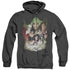 DCR/JUSTICE LEAGUE DARK - ADULT HEATHER HOODIE - BLACK