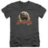 DARK CRYSTAL/AUGHRA CIRCLE - S/S ADULT V-NECK 30/1 - CHARCOAL