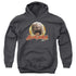 DARK CRYSTAL/AUGHRA CIRCLE - YOUTH PULLOVER HOODIE - CHARCOAL