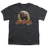 DARK CRYSTAL/AUGHRA CIRCLE - S/S YOUTH 18/1 - CHARCOAL