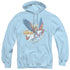SHE RA/ AND SWIFTWIND - ADULT PULLOVER HOODIE - LIGHT BLUE