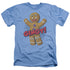 SHREK/GINGY - ADULT HEATHER - LIGHT BLUE