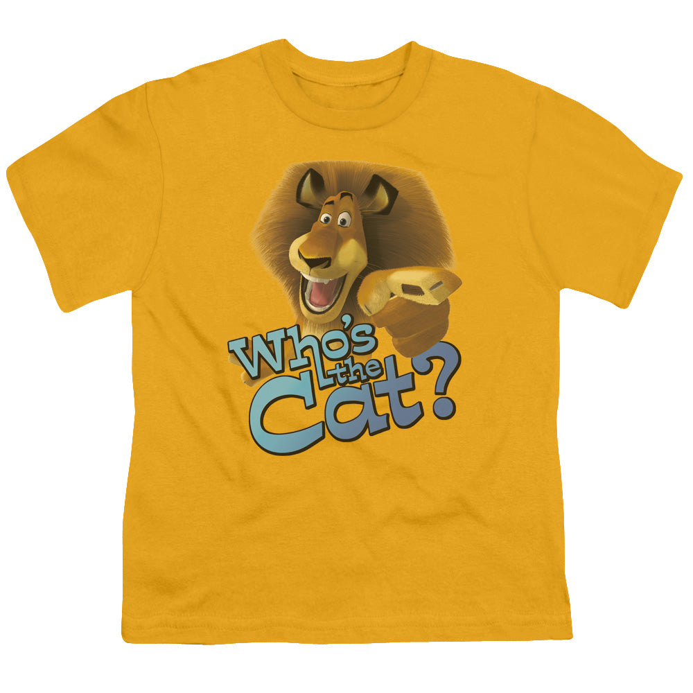 KUNG FU PANDA/WHOS THE CAT - S/S YOUTH 18/1 - GOLD