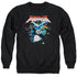 KUNG FU PANDA/KUNG FU GROUP - ADULT CREWNECK SWEATSHIRT - BLACK