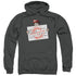 WHERES WALDO/WITNESS PROTECTION - ADULT PULLOVER HOODIE - CHARCOAL