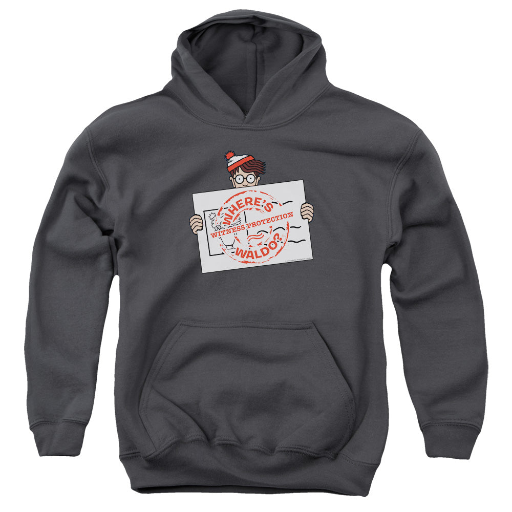 WHERES WALDO/WITNESS PROTECTION - YOUTH PULLOVER HOODIE - CHARCOAL
