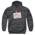 WHERES WALDO/WITNESS PROTECTION - YOUTH PULLOVER HOODIE - CHARCOAL