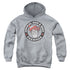 WHERES WALDO/CHAMPION - YOUTH PULLOVER HOODIE - ATHLETIC HEATHER