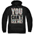 WHERES WALDO/SEE ME - ADULT PULLOVER HOODIE - BLACK