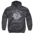 ELVIS PRESLEY/ROCK & ROLL - YOUTH PULLOVER HOODIE - CHARCOAL